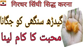 Gidarh Singhi Se Mohabbat Ka Amal  Love Back Wazifa  Bengali Jado Amliyat BengalKaJadu [upl. by Zubkoff703]