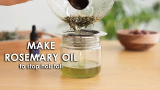 Make rosemary oil at home to stop hair fall and regrow thinning hair [upl. by Blackburn]