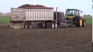 Sugar Beet harvest in Minnesota 2013 [upl. by Brigette718]