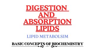 Digestion and Absorption of Lipids  Monoacyl glycerol pathway  Bergstrom theory [upl. by Idnahr75]