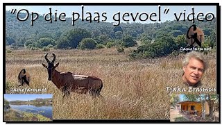 Dinokeng 42 ha Dit krioel van wild Wildplase te koop  Game farms for sale [upl. by Anissej]