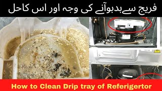 How To Clean Refrigerator Fridge Freezer Drip Tray Drain Waste Tank  Fridge Saaf Krny Ka Tarika [upl. by Aroled]