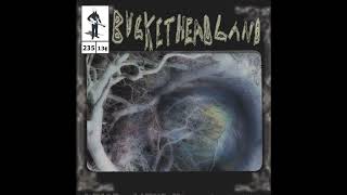 Buckethead Oneiric Pool part 7 [upl. by Wini779]