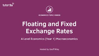 Floating and Fixed Exchange Rates [upl. by Yenaled399]