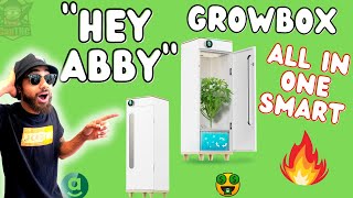 UPDATED My Thoughts on quotHEY ABBYquot  Full system review Abbygrowbox smart PEPPERS TEST [upl. by Hendrix628]