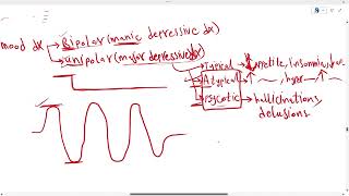 Overview on depression SSRIs TCAs [upl. by Ylrebmik]