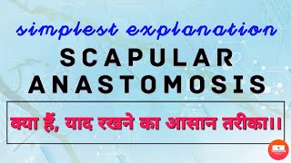 SCAPULAR ANASTOMOSIS [upl. by Rikahs]