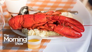 The Lobster Season Kickoff Inside Prince Edward Islands celebrated tradition [upl. by Gierk]