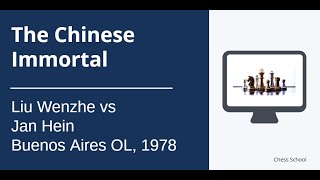 The Chinese Immortal Liu Wenzhe vs Jan Hein Donner [upl. by Gascony]