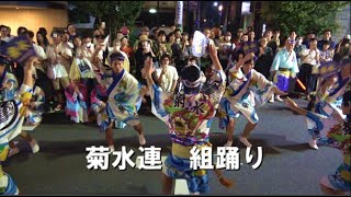 【菊水連】 決めポーズ決まるも「声が小さーい」の声 初台阿波踊り 組み踊り 祭り 阿波踊り ダンス 初台阿波踊り 菊水連 [upl. by Nylorak]