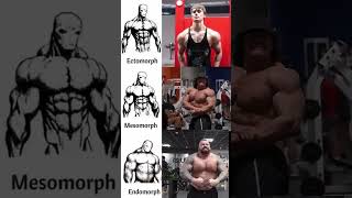 Which one do you have  endomorph ectomorph mesomorph gym [upl. by Areivax]