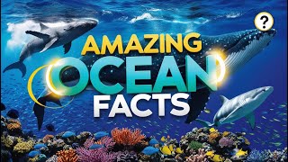 Discover Ocean Mysteries Secrets Beneath Waves  FactTailorn2y top10factsthatblowyourmind [upl. by Nosinned]