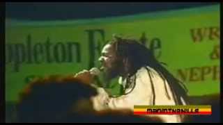 Dennis Brown  The Legend Continue [upl. by Nerrag]