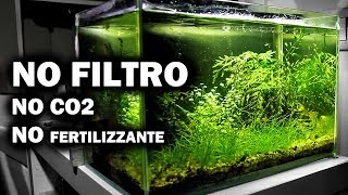 Acquario SENZA FILTRO  Allestimento e Tutorial [upl. by Tenay325]