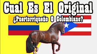 El Caballo De Paso Fino 🐴Del Cerro Soy [upl. by Rodger]