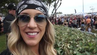 Gasparilla 2016  Tampa [upl. by Krik]