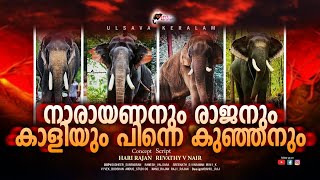 കുഞ്ഞൻ ഇന്നും ഒരു നൊമ്പരംKeralaElephantIthithanamRajeevPampady RajanCherpulasseryParthanEPI 181 [upl. by Adigirb689]