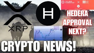 Ripple XRP vs the Big 3 Banks  Hedera HBAR DFSA Approval Next🎯 📢Crypto Bull Run ✔ CRYPTO NEWS [upl. by Teemus]