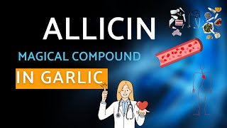 Allicin The Blood Thinner in Garlic Unveiled [upl. by Assetak]