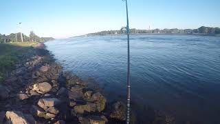 My Jigging Technique at the Cape Cod Canal [upl. by Aleicarg]