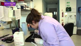 BSc courses Biomedical Sciences at The University of Manchester [upl. by Adnirak]