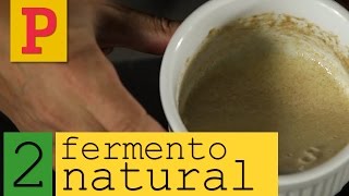 Como fazer fermento natural  Vídeo 2 [upl. by Naugan693]