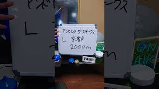 【アンドロメダステークス】スラリンメタリンの世界一当たらないトリガミ予想〜【2024年11月第3週】 競馬予想 アンドロメダステークス [upl. by Troth]