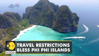 COVID19 pandemic breathes fresh life into the ecosystem of Thailands Phi Phi Islands  WION [upl. by Aicilic]