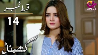 Ghamand  Episode 14  Aplus Dramas  Noman Ejaz Sunita Marshall Sadaf  Pakistani Dramas  CG11 [upl. by Frierson]