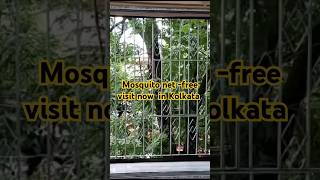 Double sliding mosquito net installation now in Kolkata DK Group Of Industry 9091630935 [upl. by Gnek665]