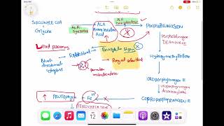 Lead poisoning haematology 58 First Aid USMLE Step 1 in UrduHindi [upl. by Ikceb981]