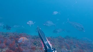 Fishy Weekend in Struisbaai [upl. by Knowles852]