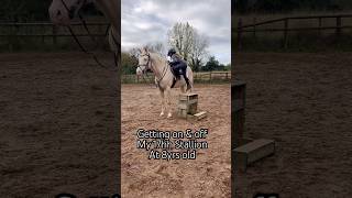 Getting on amp off 17hh Stallion horse horseriding equestrian pony showjumping horselover [upl. by Satsoc263]