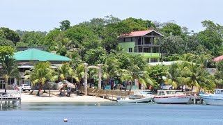 Half Moon Bay Roatan  Honduras [upl. by Olenka]