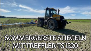 Sommergerste striegeln mit Treffler TS 1220 am JCB [upl. by Anitrak]