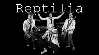 Reptilia  The Strokes Reptilia the Band Live Cover [upl. by Acissj]