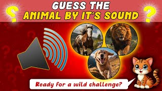 Guess the Animal by Its Sound 🐾  🐦 Fun Animal Sounds Quiz  Kitty TV [upl. by Ical127]