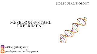 Meselson And Stahl Experiment  Malayalam Explanation  Semiconservative DNA Replication Malayalam [upl. by Euqinomad]