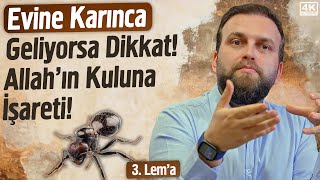 Evine Karınca Geliyorsa Dikkat Allah’ın Kuluna İşareti  3 Lema  İhya  Fatih Ünal [upl. by Azar]