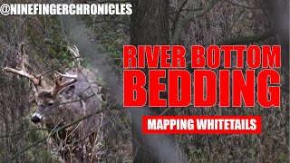 Whiteboard Whitetails  RIVER BOTTOM BEDDING  Nine Finger Chronicles [upl. by Yunfei]