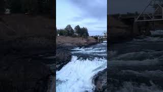 Spokane Falls  Washington State 💧 [upl. by Gensmer823]