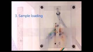 A fully automated microfluidic micellar electrokinetic chromatography analyzer for organic [upl. by Muhan]