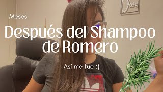 Resultado del shampoo con Romero [upl. by Anier]