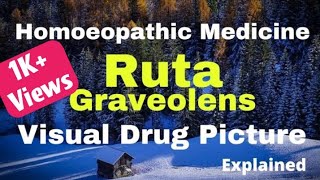 Ruta Graveolens Homoeopathic Medicine Explained  BHMS Study Practice  Ruta 30200 Uses [upl. by Senzer]