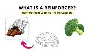 What is a Reinforcer and its types  Reinforcement Learning Theory Operant Conditioning [upl. by Notniuqal]