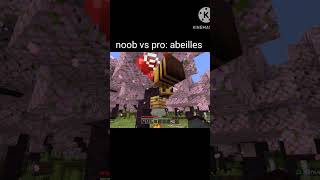 Minecraft Noob VS PRO  abeilles [upl. by Madea216]