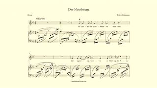 Der Nussbaum  Robert Schumann  accompaniment in Eb Major [upl. by Annayad]