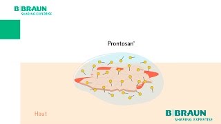 Prontosan®  Sehen Sie das Betain in Aktion [upl. by Einafit]