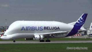 ✈ Beluga 4 Landing  Hamburg Finkenwerder [upl. by Collimore687]