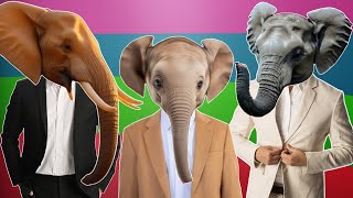 Funny Elephants  Coffin Dance Song PART 17 COVER [upl. by Arahahs]